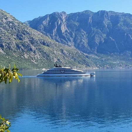 Magnolia Adriatic Apartment Kotor Exterior photo