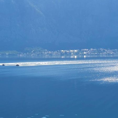 Magnolia Adriatic Apartment Kotor Exterior photo